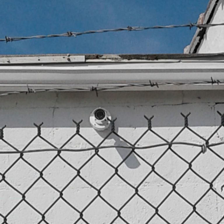 cameras-768x768 cameras-768x768